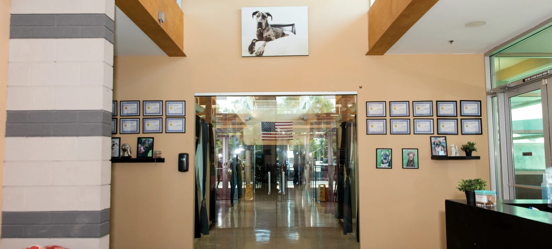  Doggie District - Peoria - Lobby